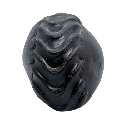Laxmi Shaligram